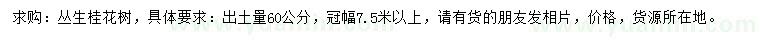 求購冠幅7.5米以上叢生桂花樹