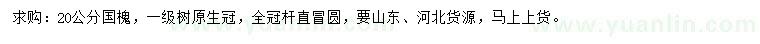 求購20公分國槐