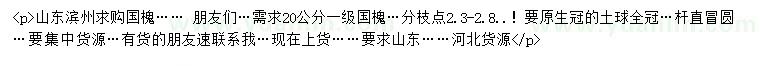 求購20公分國(guó)槐
