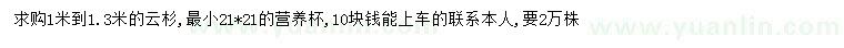 求購1-1.3米云杉