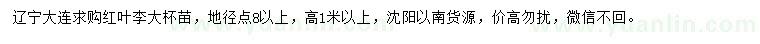 求購高1米以上紅葉李