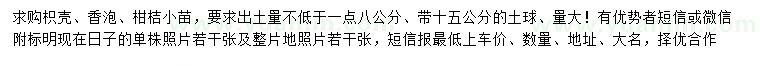 求購枳殼、香泡、柑桔小苗