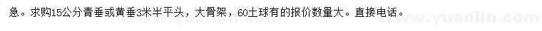 求購15公分青垂、黃垂