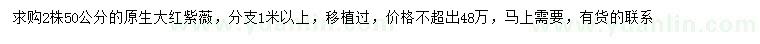 求購50公分原生大紅紫薇