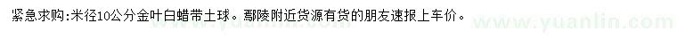 求購米徑10公分金葉白蠟