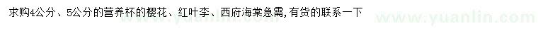 求購櫻花、紅葉李、西府海棠
