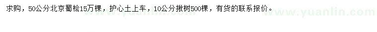 求購50公分北京檜、10公分楸樹