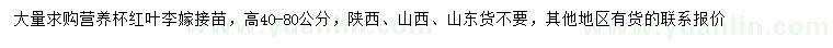 求購高40-80公分紅葉李