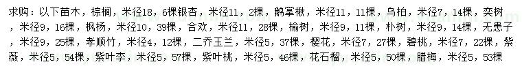 求購棕櫚、銀杏、鵝掌楸等