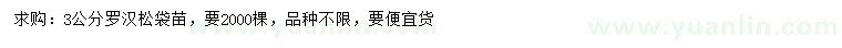 求購3公分羅漢松袋苗