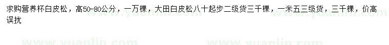 求購50-80公分、80公分以上白皮松