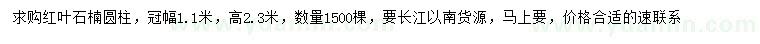 求購高2.5米紅葉石楠圓柱