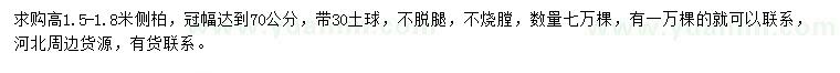 求購(gòu)高1.5-1.8米側(cè)柏