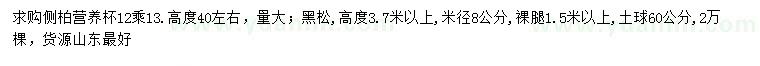 求購高40公分側(cè)柏、米徑8公分黑松