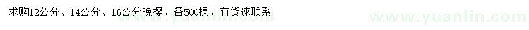 求購(gòu)12、14、16公分晚櫻