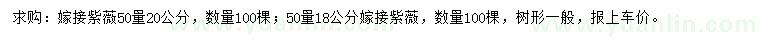 求購50量18、20公分嫁接紫薇