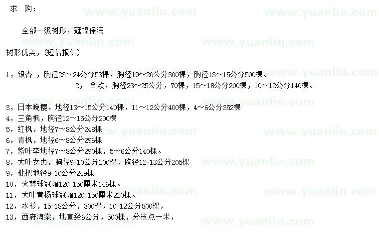 求購(gòu)銀杏、合歡、日本晚櫻等