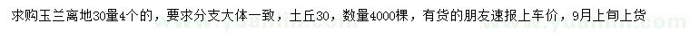 求購30量4公分玉蘭