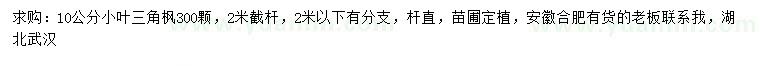 求購10公分小葉三角楓