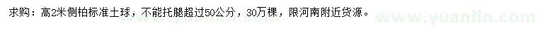 求購高2米側(cè)柏