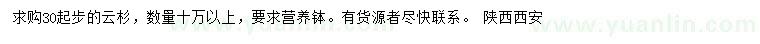 求購30公分以上云杉