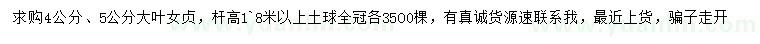 求購4、5公分大葉女貞