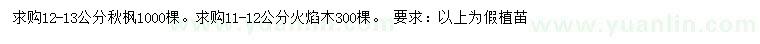 求購12-13公分秋楓、11-12公分火焰木