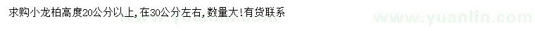 求購高20公分以上小龍柏