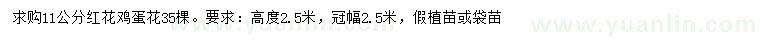 求購(gòu)11公分紅花雞蛋花