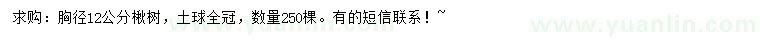 求購(gòu)胸徑12公分楸樹(shù)