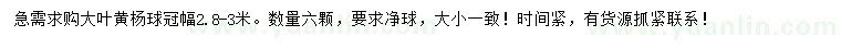 求購冠幅2.8-3米大葉黃楊球