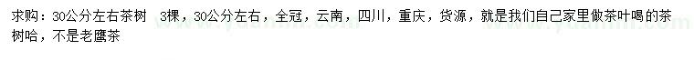 求購30公分左右茶樹