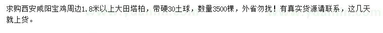 求購1.8米以上塔柏