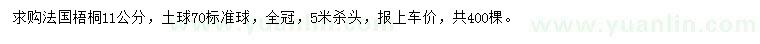 求購(gòu)11公分法國(guó)梧桐