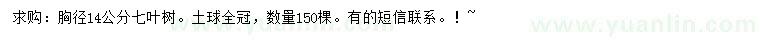 求購(gòu)胸徑14公分七葉樹