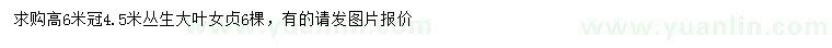 求購(gòu)高6米叢生大葉女貞