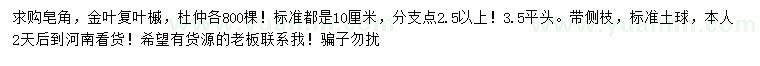 求購皂角、金葉復(fù)葉槭、杜仲