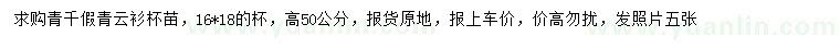 求購(gòu)高50公分青千假青云衫杯苗