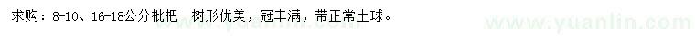求購(gòu)8-10、16-18公分枇杷