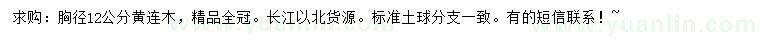 求購胸徑12公分黃連木