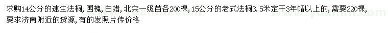 求購速生法桐、國槐、白蠟等