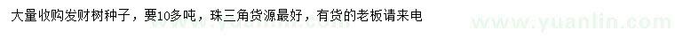 求購(gòu)發(fā)財(cái)樹(shù)種子