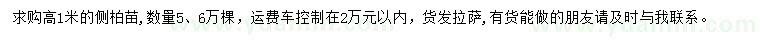 求購高1米側(cè)柏苗