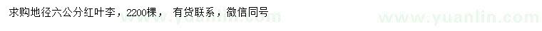 求購地徑6公分紅葉李