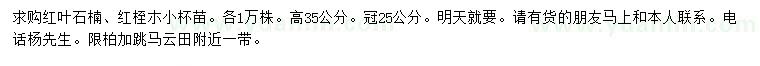 求購高35公分紅葉石楠、紅桎朩小苗