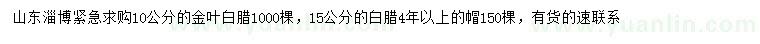 求購(gòu)10公分金葉白臘、15公分白臘