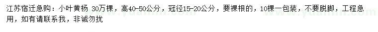 求購高40-50公分小葉黃楊