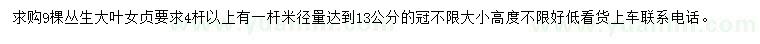 求購叢生大葉女貞