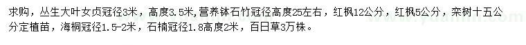 求購叢生大葉女貞、石竹、紅楓等