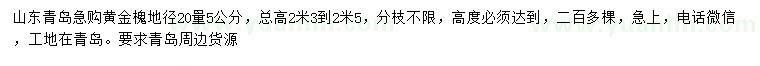 求購20量5公分黃金槐